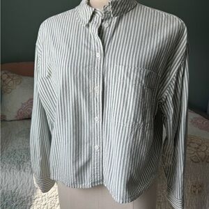 Madewell Green Striped Cropped Oversized Oxford Shirt